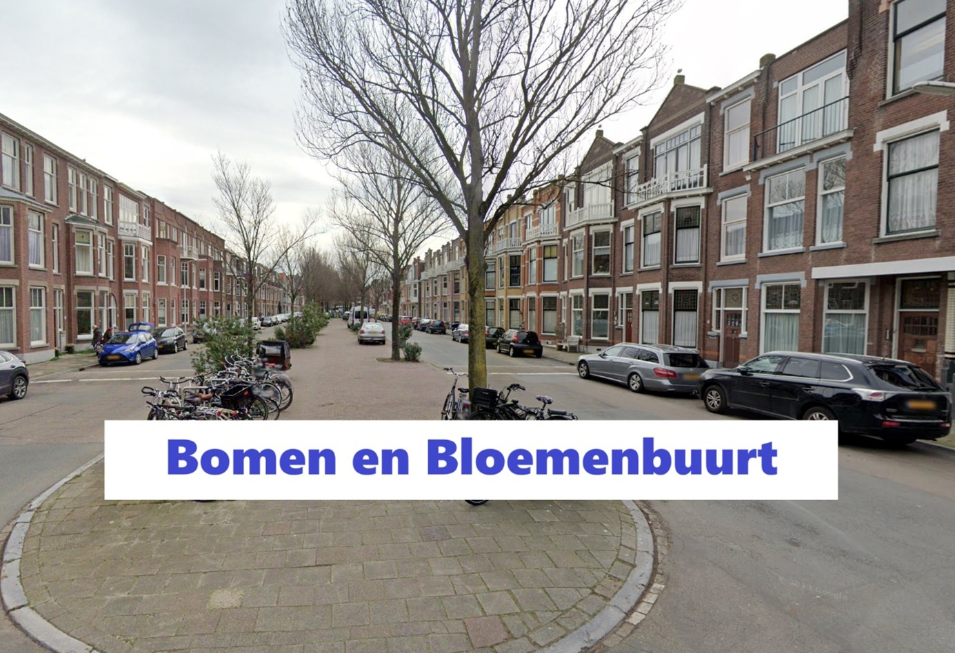 wijken in den haag:Bomen en Bloemenbuurt